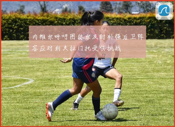 内维尔呼吁图赫尔及时补强后卫阵容应对利夫拉门托受伤挑战
