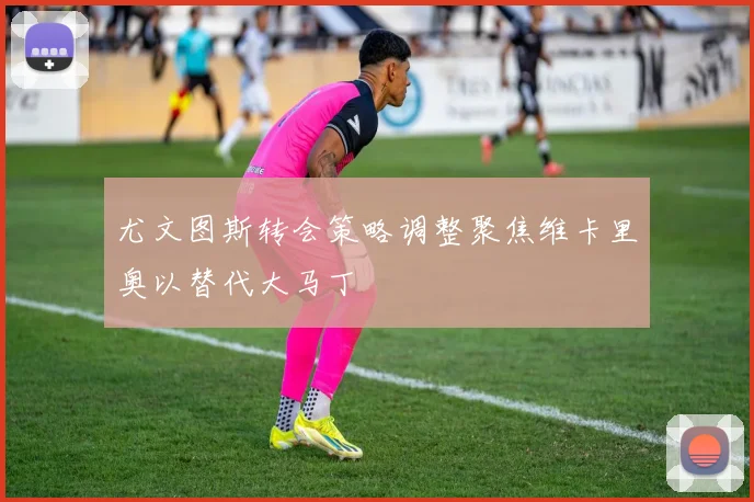 尤文图斯转会策略调整聚焦维卡里奥以替代大马丁
